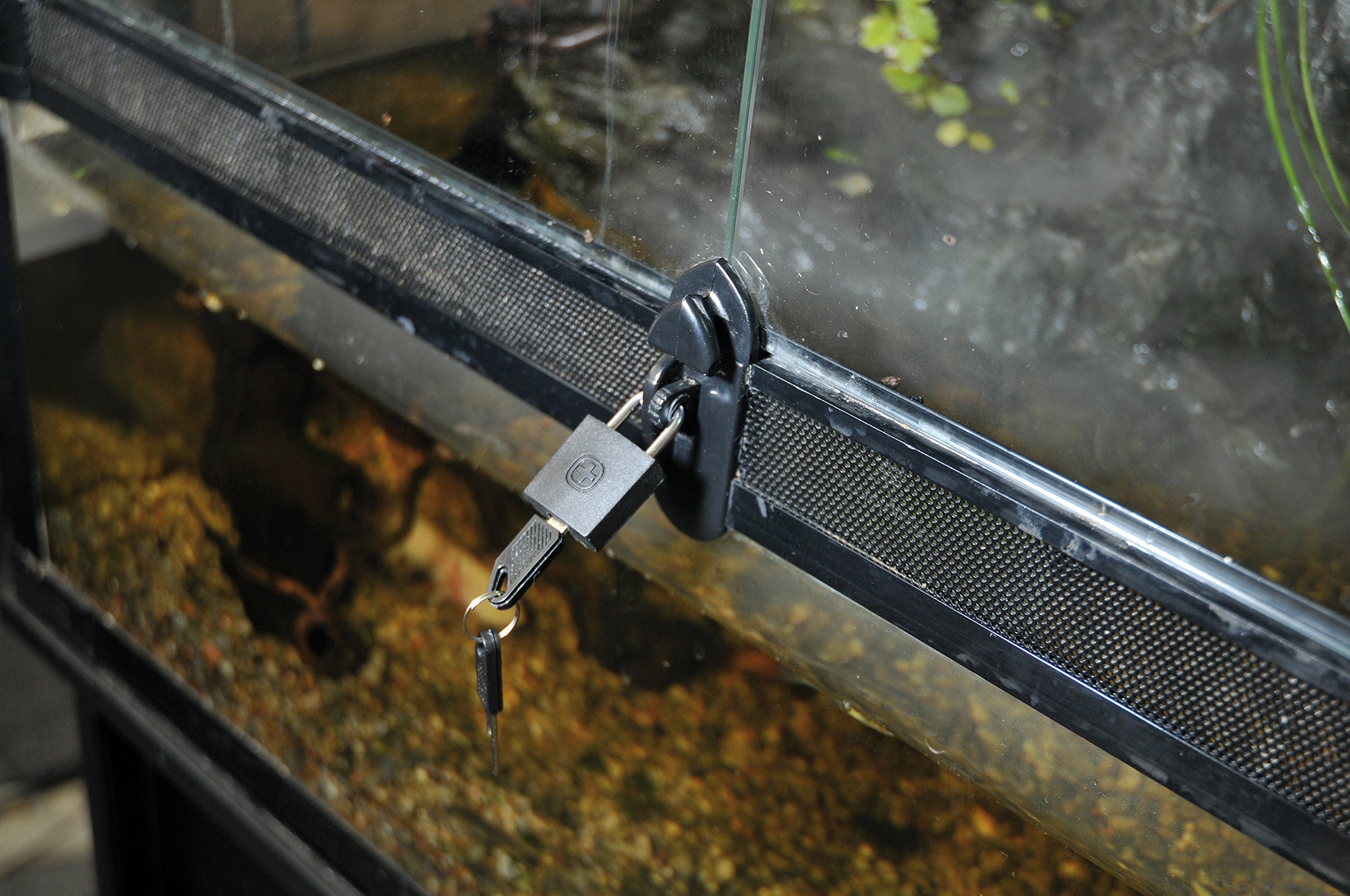 lucky-reptile-tpl-1-terra-padlock-terrarienschloss image 3
