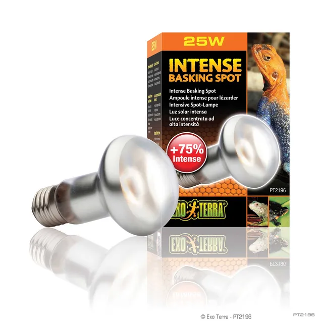 exo-terra-intense-basking-spot-25w-w-rmespotlampe-f-r-reptilien image 1