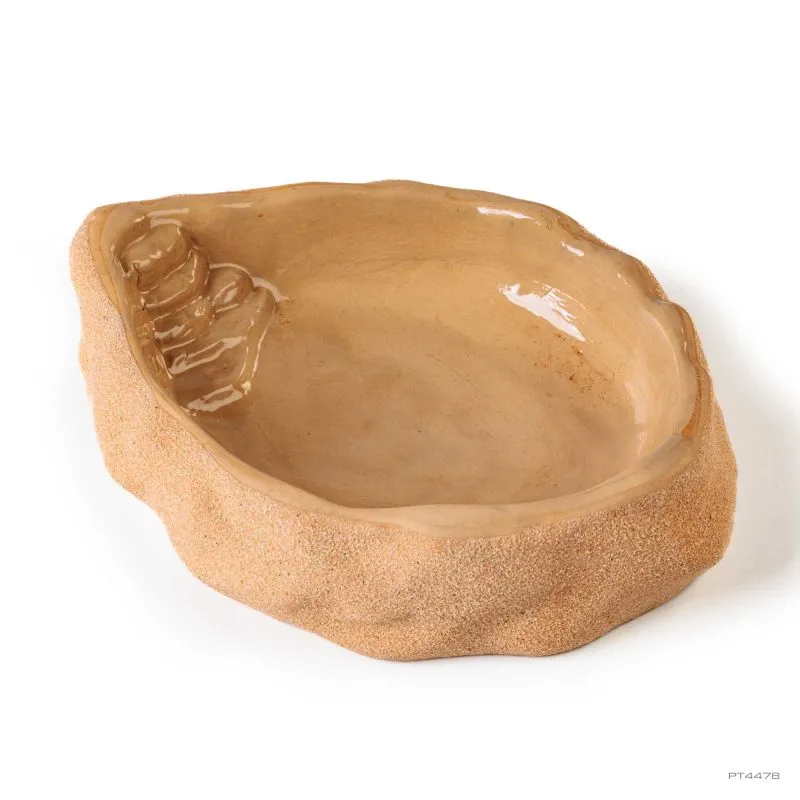 exo-terra-terrarium-dish-large-wasserschale-f-r-schildkr-ten-terrarium image 1
