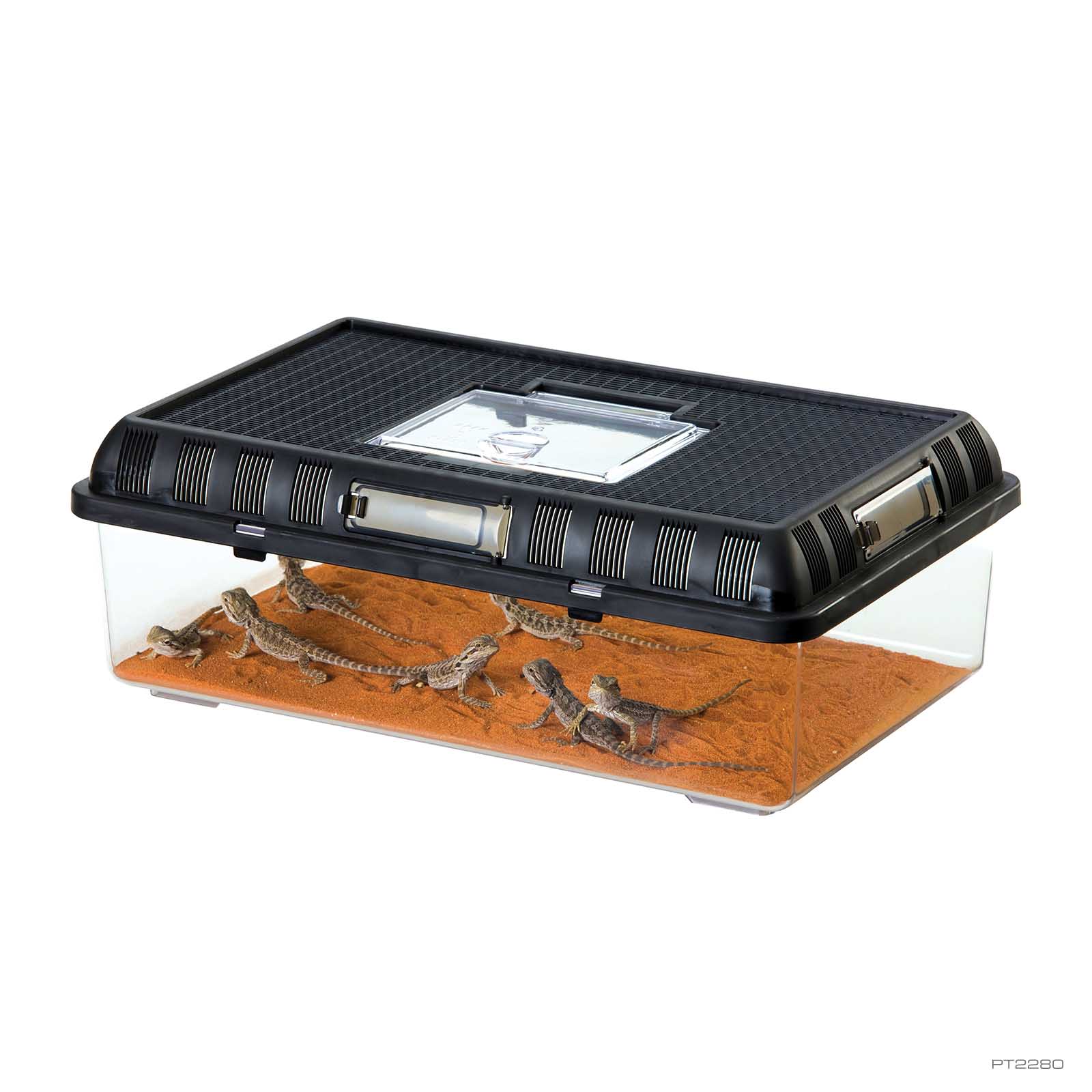 exo-terra-breeding-box-large-stapelbare-zucht-transportbox image 4