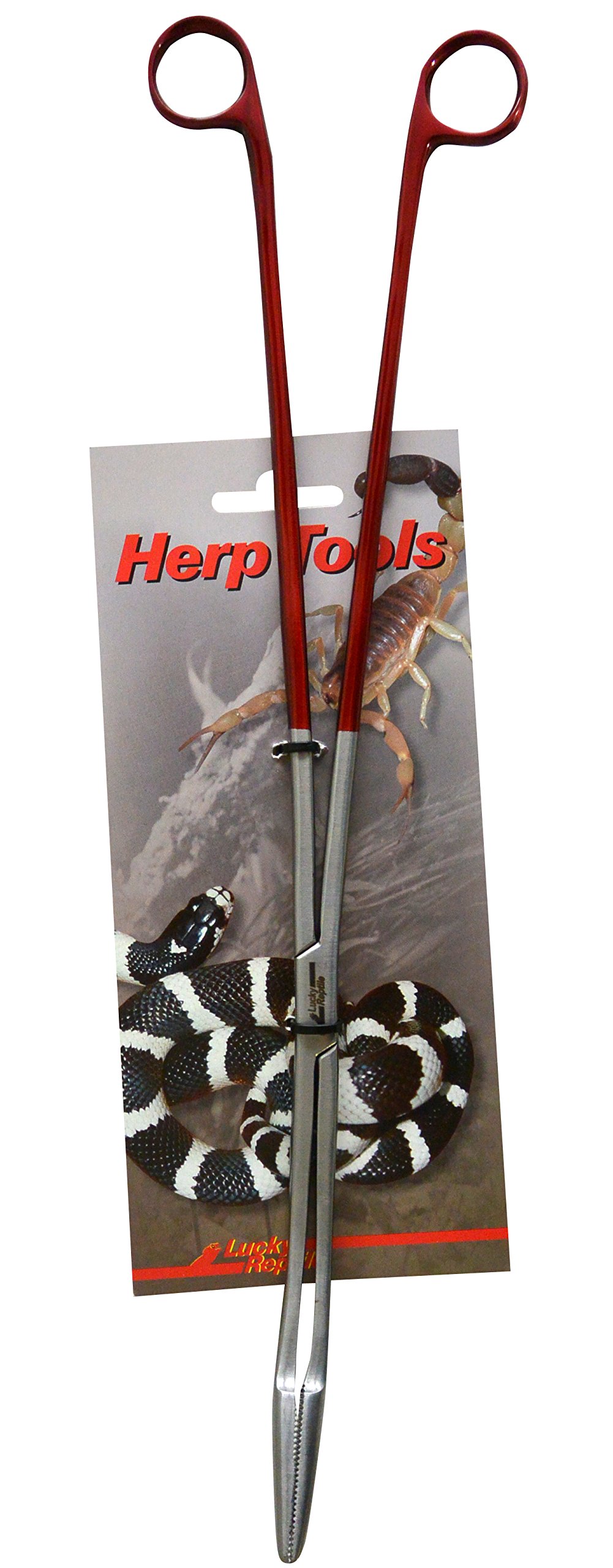 lucky-reptile-futterzange-abgewinkelt-40-cm-terrarium-pinzette image 1