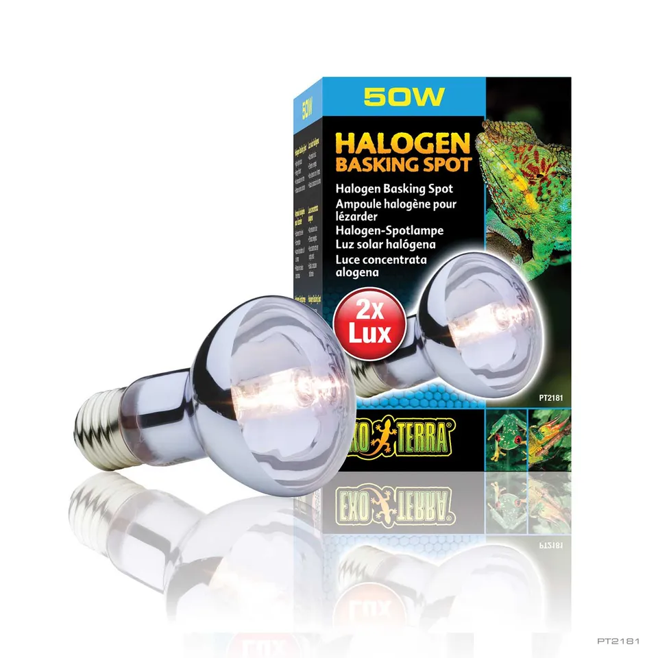 exo-terra-halogen-basking-spot-50w-halogen-w-rmespot-f-r-terrarien image 1
