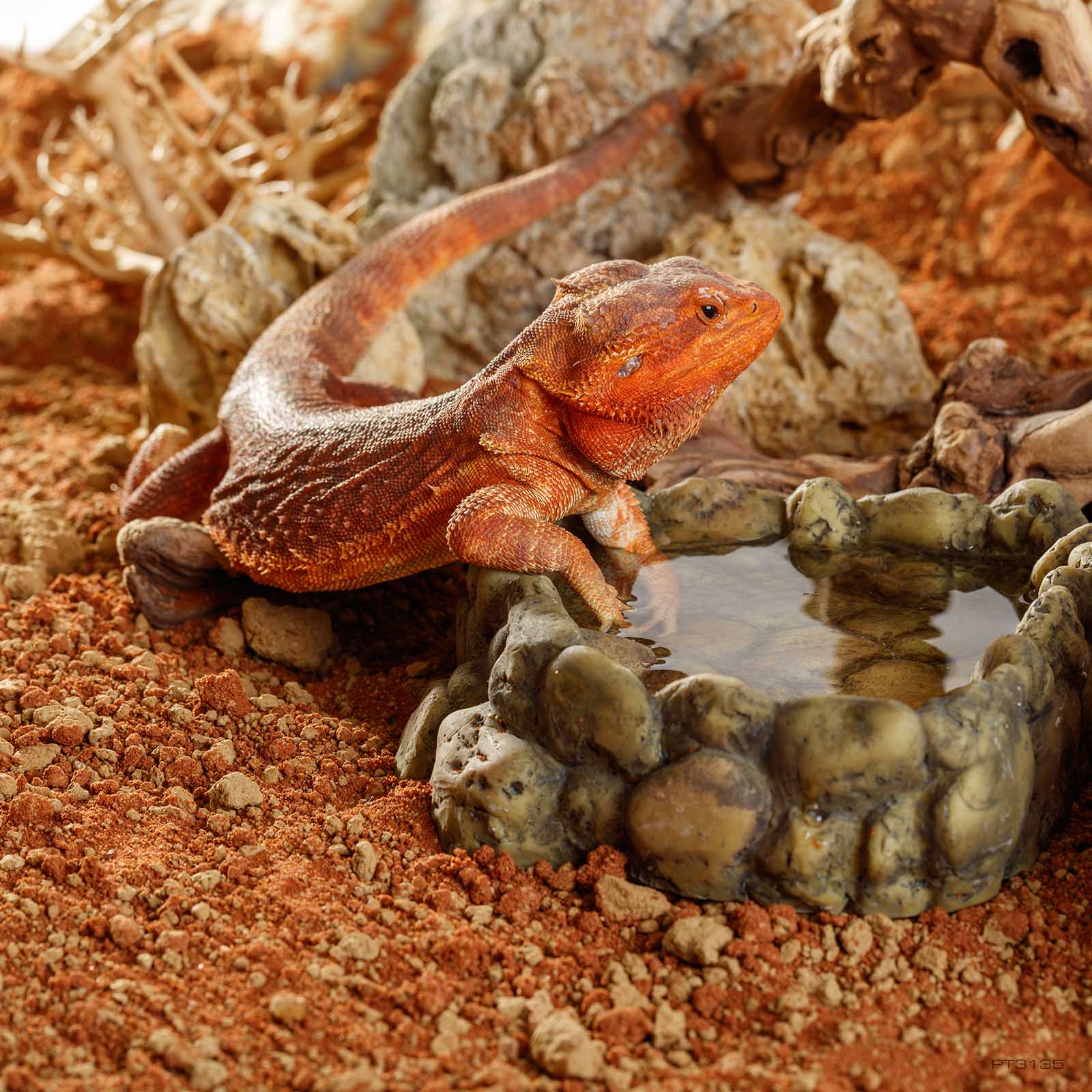 exo-terra-stone-desert-outback-red-bodensubstrat-5-kg image 3