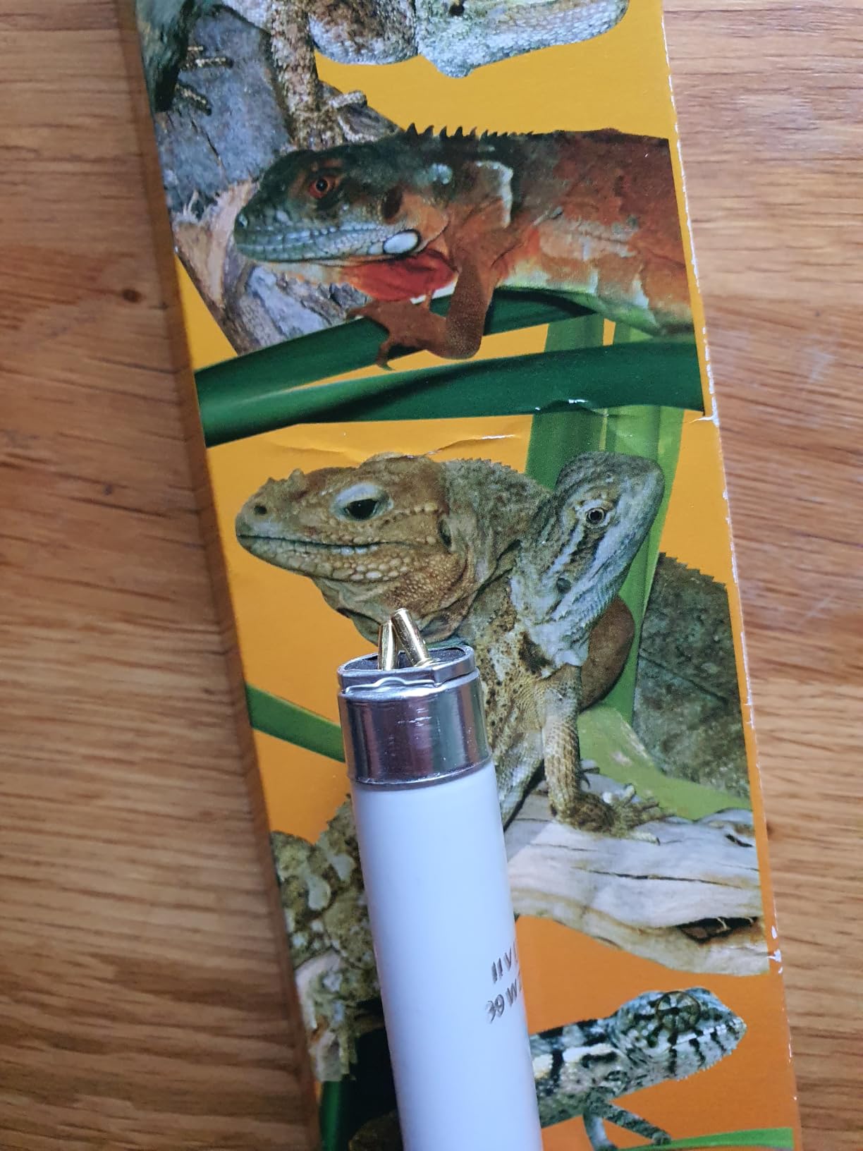 Hält was sie verspricht