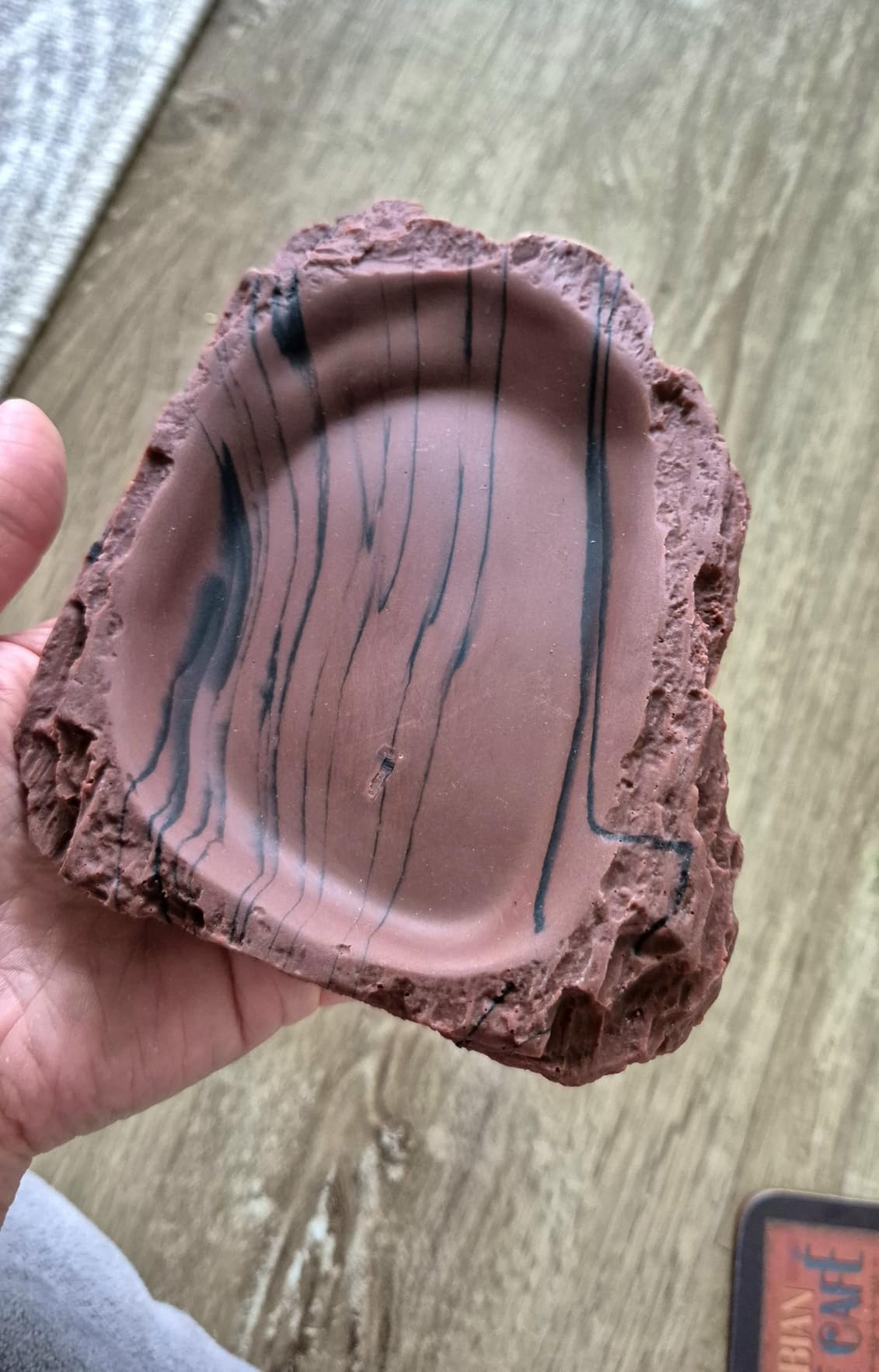 Perfekt für Landschildkröten