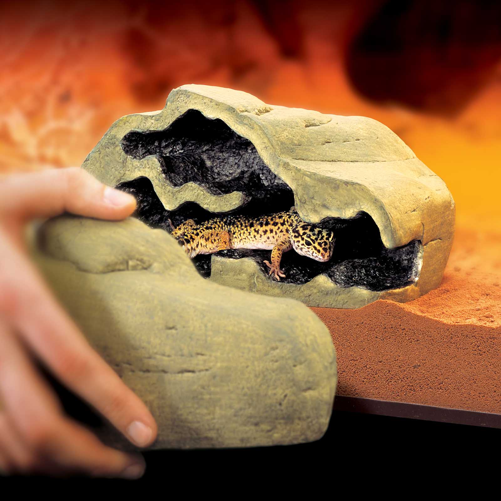 exo-terra-reptile-den-large-versteck-mit-magnet-sichtfenster image 3