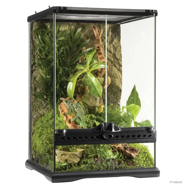 exo-terra-natural-terrarium-mini-tall-glasterrarium image 1