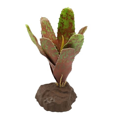 lucky-reptile-scape-it-easy-bromelie-neoregelia-gr-n-ca-20-cm-dekopflanze image 7
