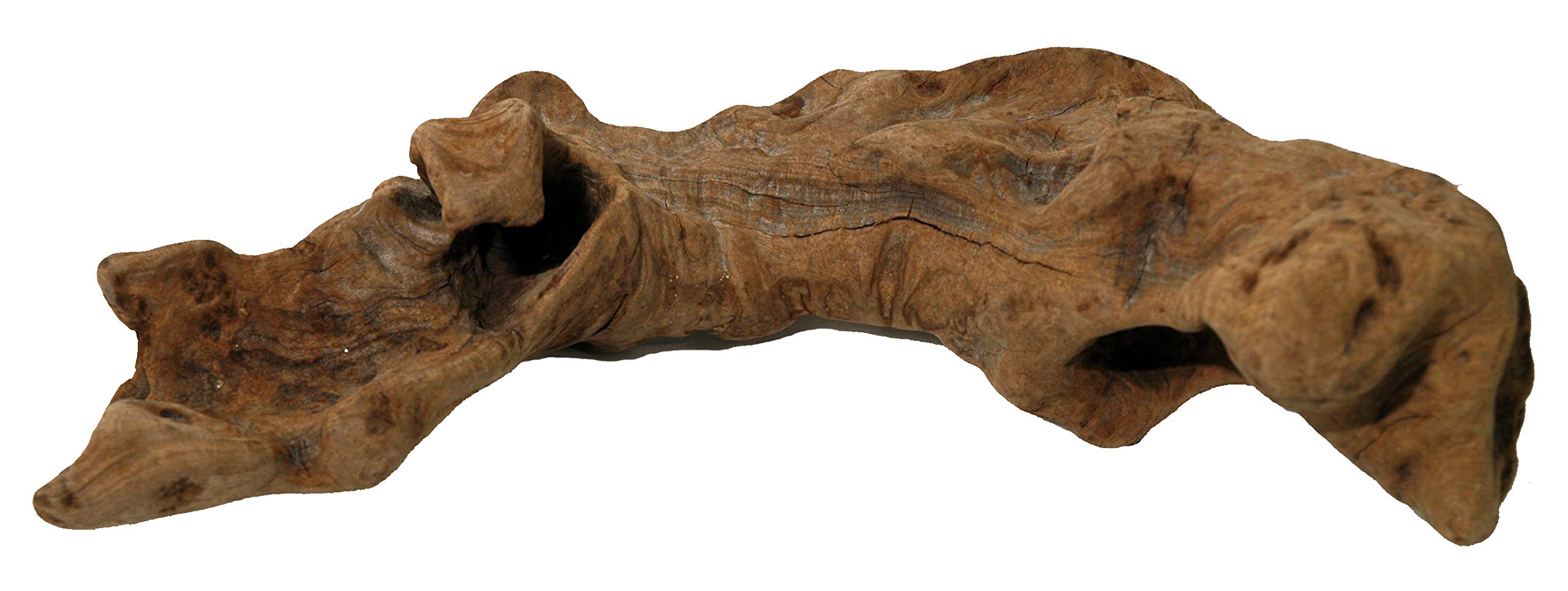 lucky-reptile-ow-s-opuwa-holz-klein-s-terrariendekoration-naturbelassen image 1