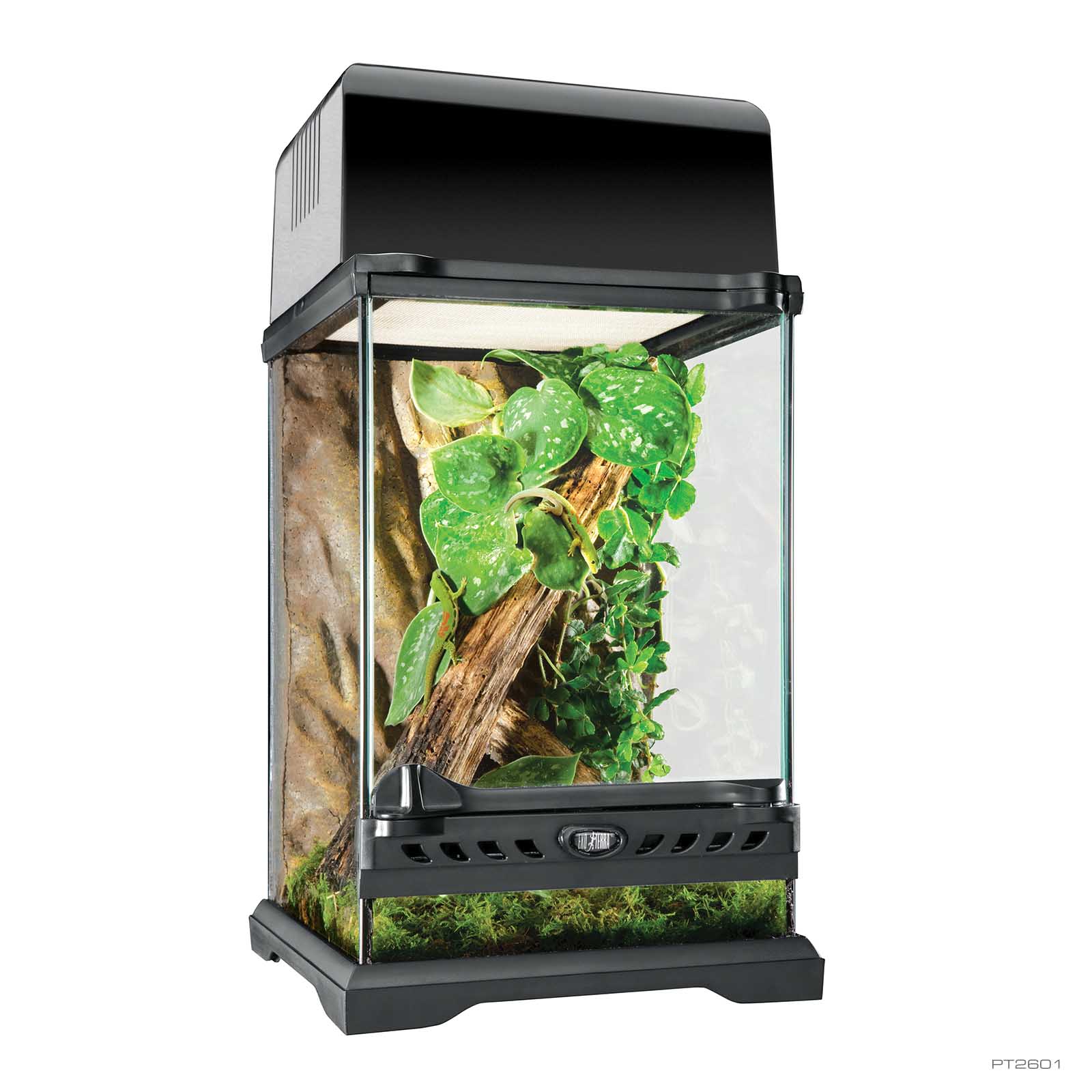 exo-terra-natural-terrarium-nano-tall-glas-terrarium image 1