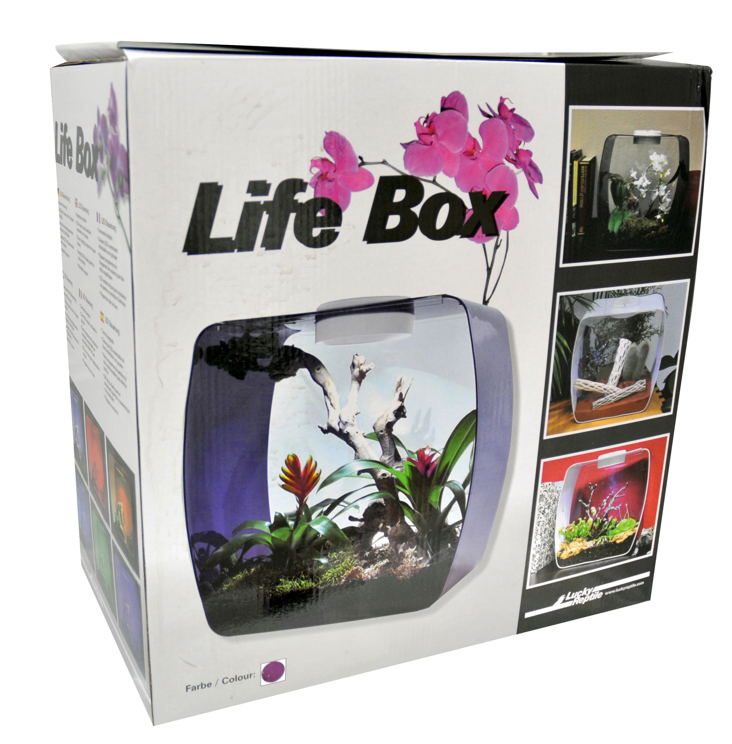lucky-reptile-life-box-30x18x30-cm-wei-mit-led-und-l-ftung image 4