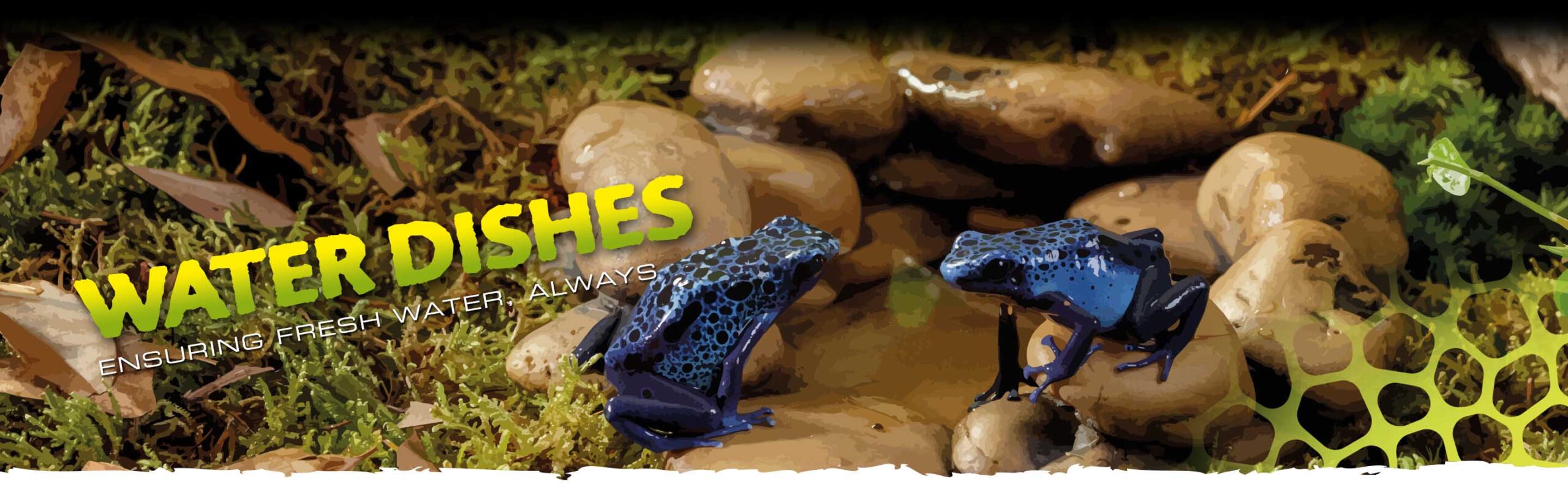 exo-terra-water-dishes-nat-rlicher-wassernapf-mit-fels-optik image 2