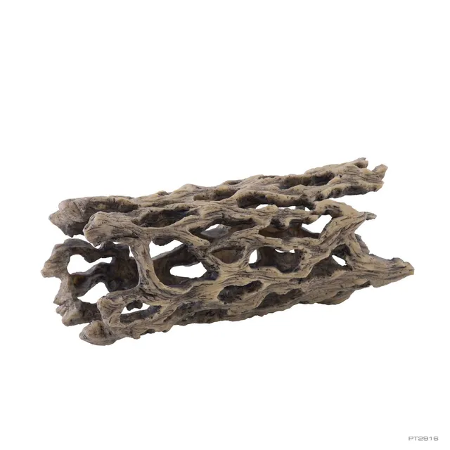 exo-terra-cholla-cactus-medium-terrarien-deko-und-versteck image 1