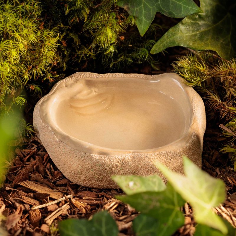 exo-terra-terrarium-dish-small-wasserschale image 6