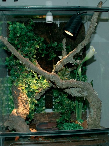 lucky-reptile-jl-1-jungle-lamp-set-wasserdichte-niedervoltleuchte-mit-trafo image 6