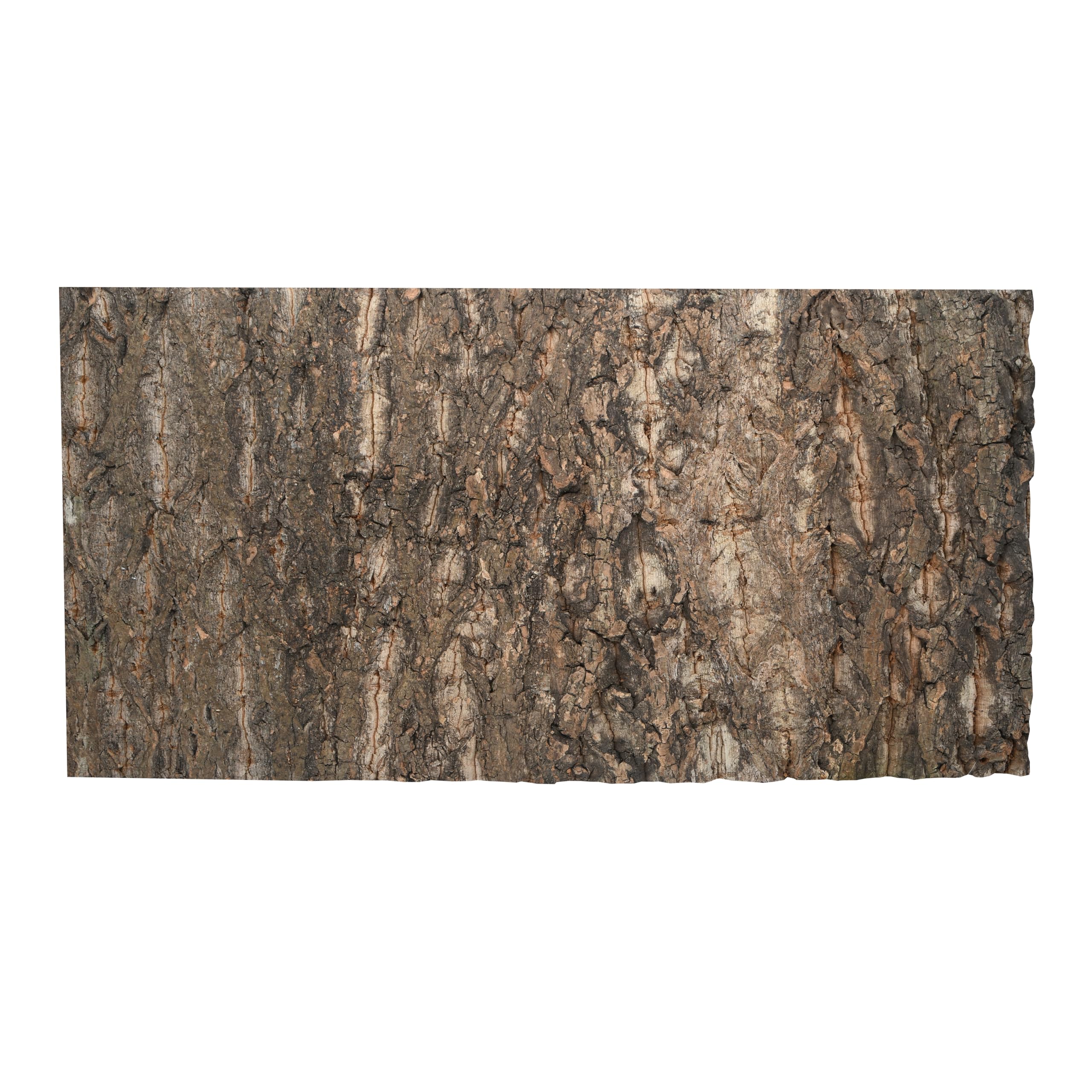 lucky-reptile-korkr-ckwand-desert-60-x-30-cm-r-ckwand-aus-presskork image 4