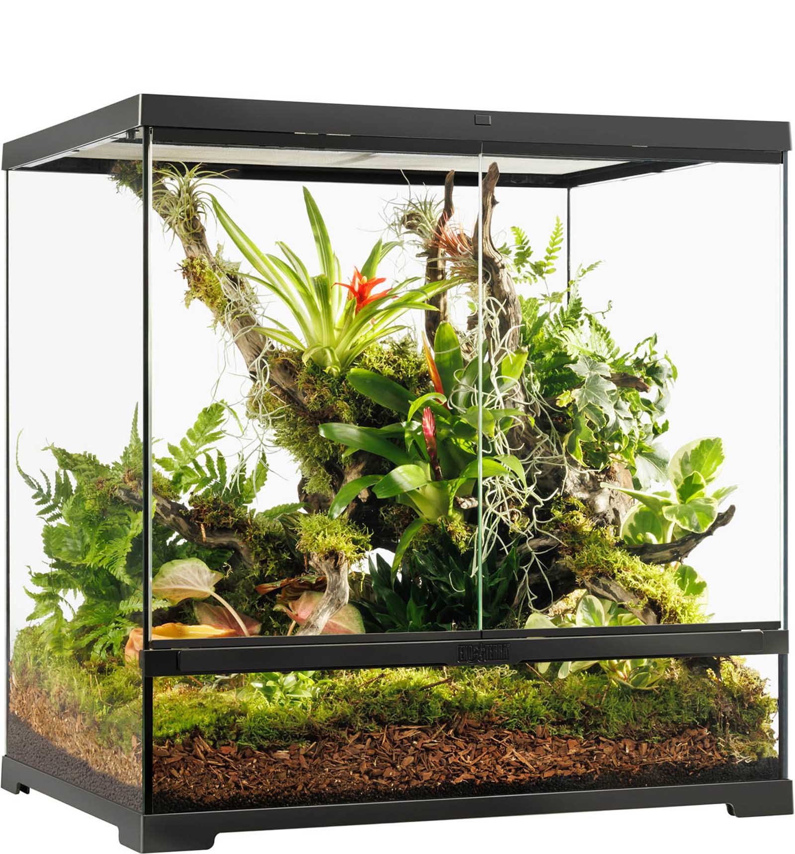 exo-terra-pro-terrariums-vielseitiges-terrarium-f-r-reptilien-und-amphibien image 3