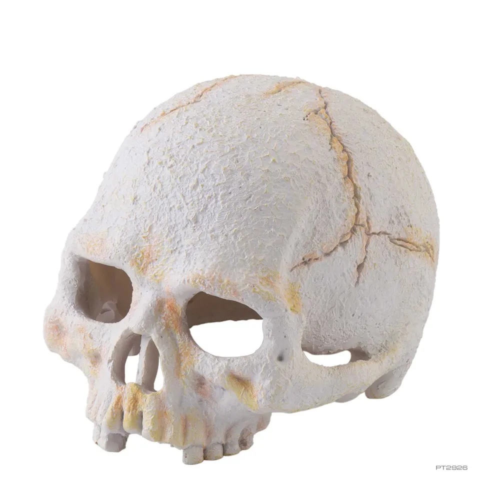 exo-terra-primate-skull-small-terrarium-deko-versteck image 1