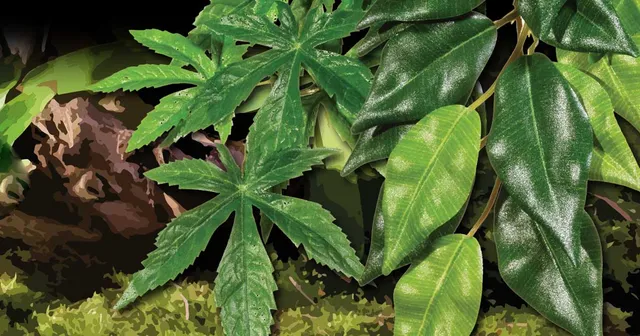 exo-terra-hanging-plants-h-ngepflanze-k-nstlich image 1