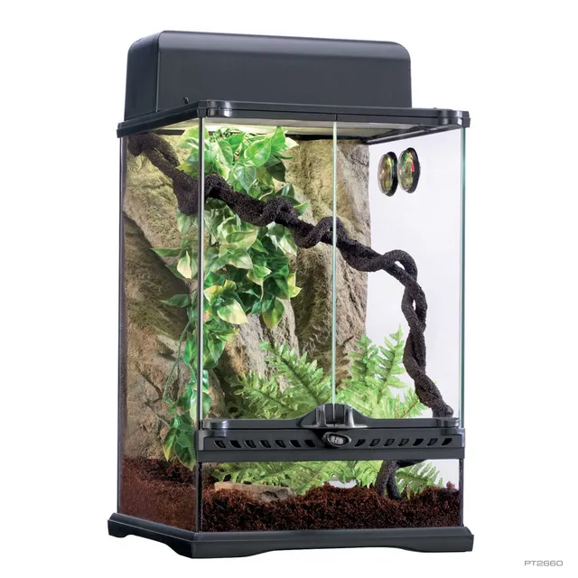 exo-terra-habitat-kit-rainforest-small-glas-terrarium-komplett-set image 1