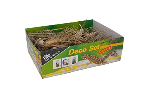 lucky-reptile-life-experience-deco-set-w-ste-f-r-nano-terrarien image 7