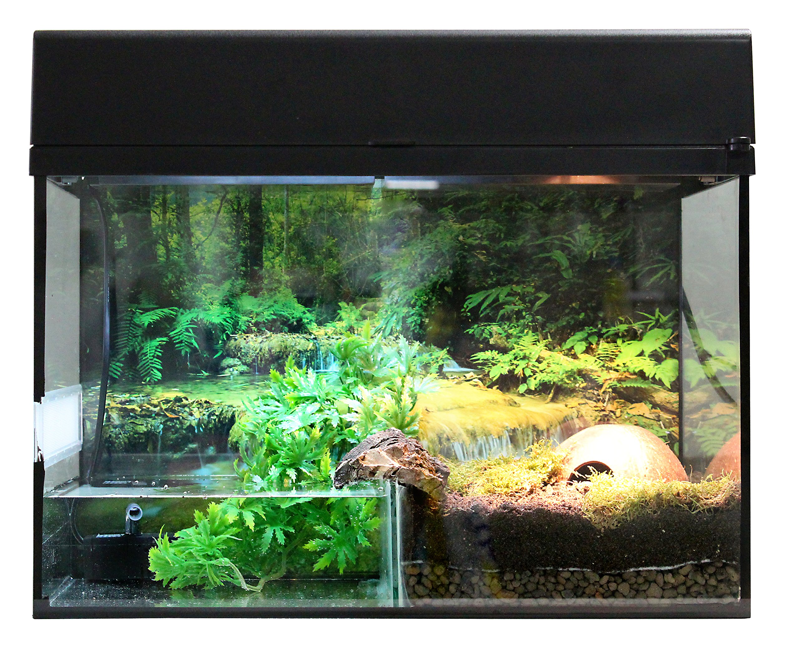 lucky-reptile-starter-kit-bombina-pacman-50-cm-schwarz-amphibien-komplettset image 2