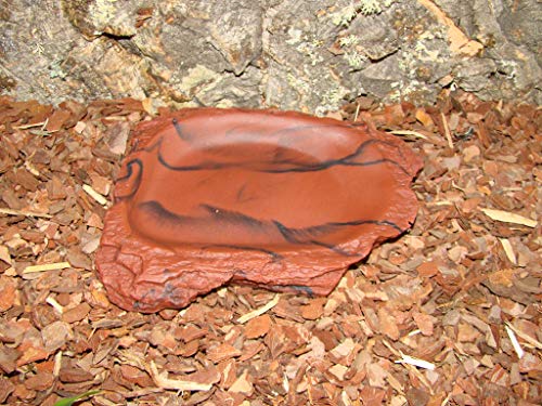 lucky-reptile-turtle-dish-wasserschale-lava-14-x-12-x-2-cm image 8