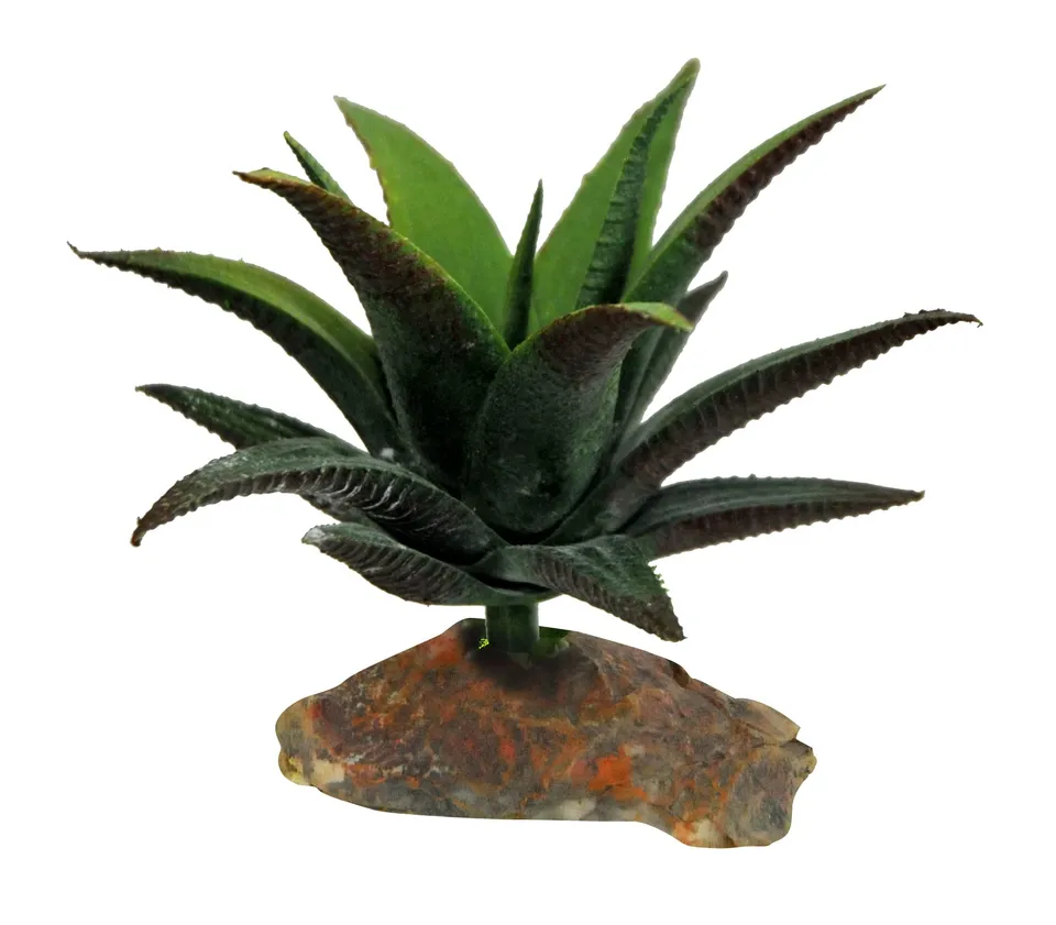 lucky-reptile-sukkulente-140-g-terrarien-deko-ca-10-cm image 1