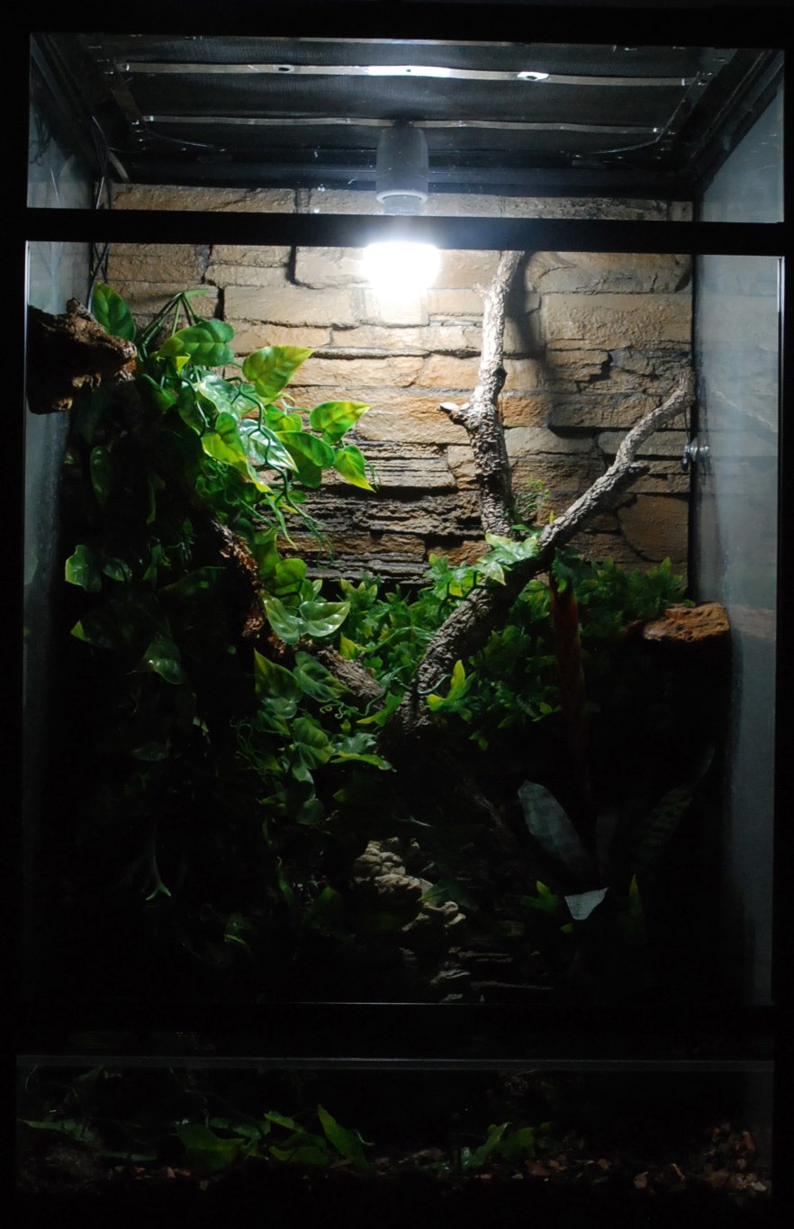 lucky-reptile-led-sun-globe-7-watt-e27-terrarium-led-lampe image 3