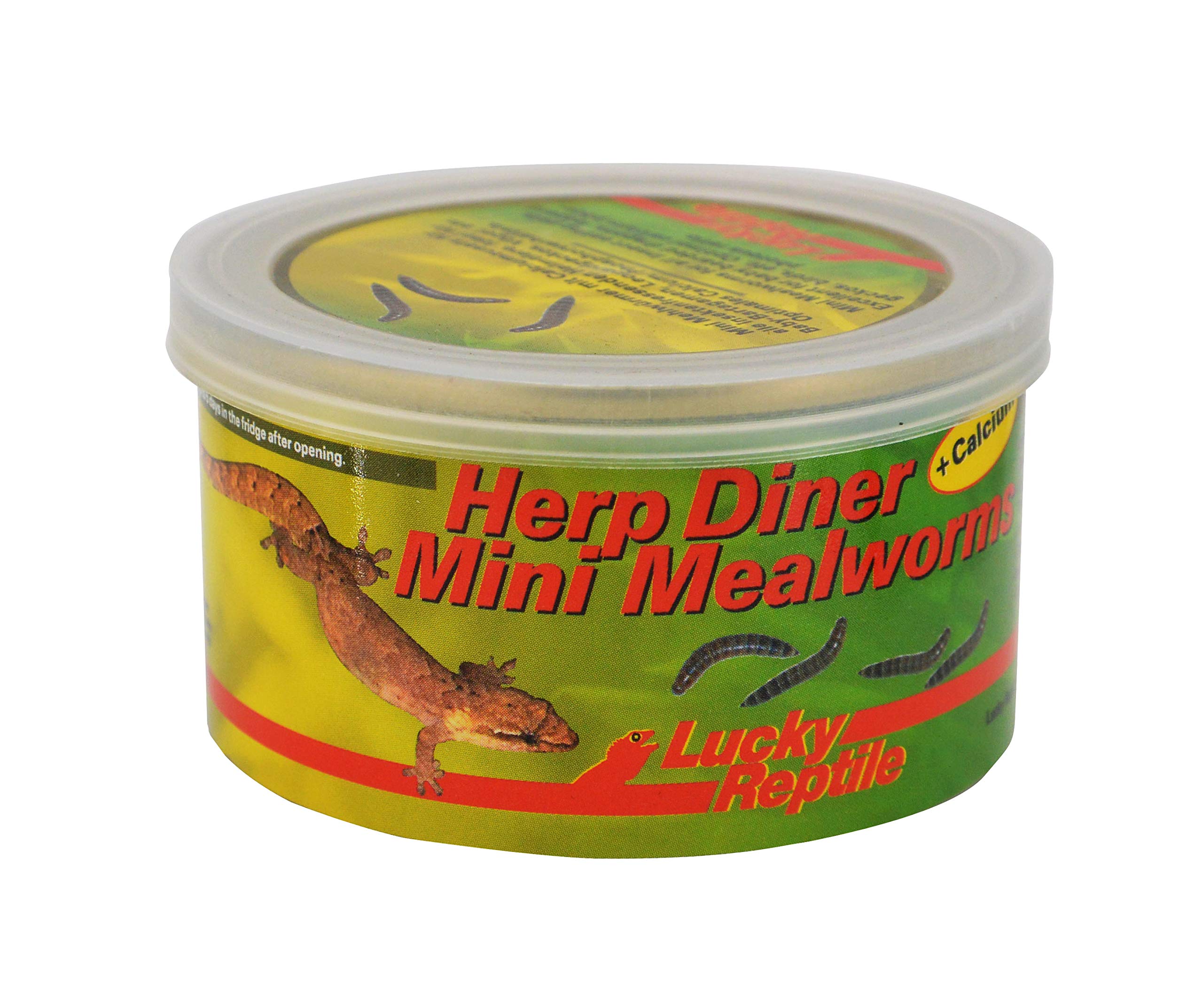 lucky-reptile-herp-diner-superworms-futterdose image 6