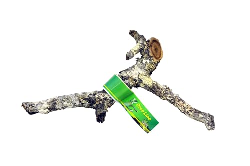 lucky-reptile-tronchos-kork-ste-90-120-cm-kletternaturdeko image 4