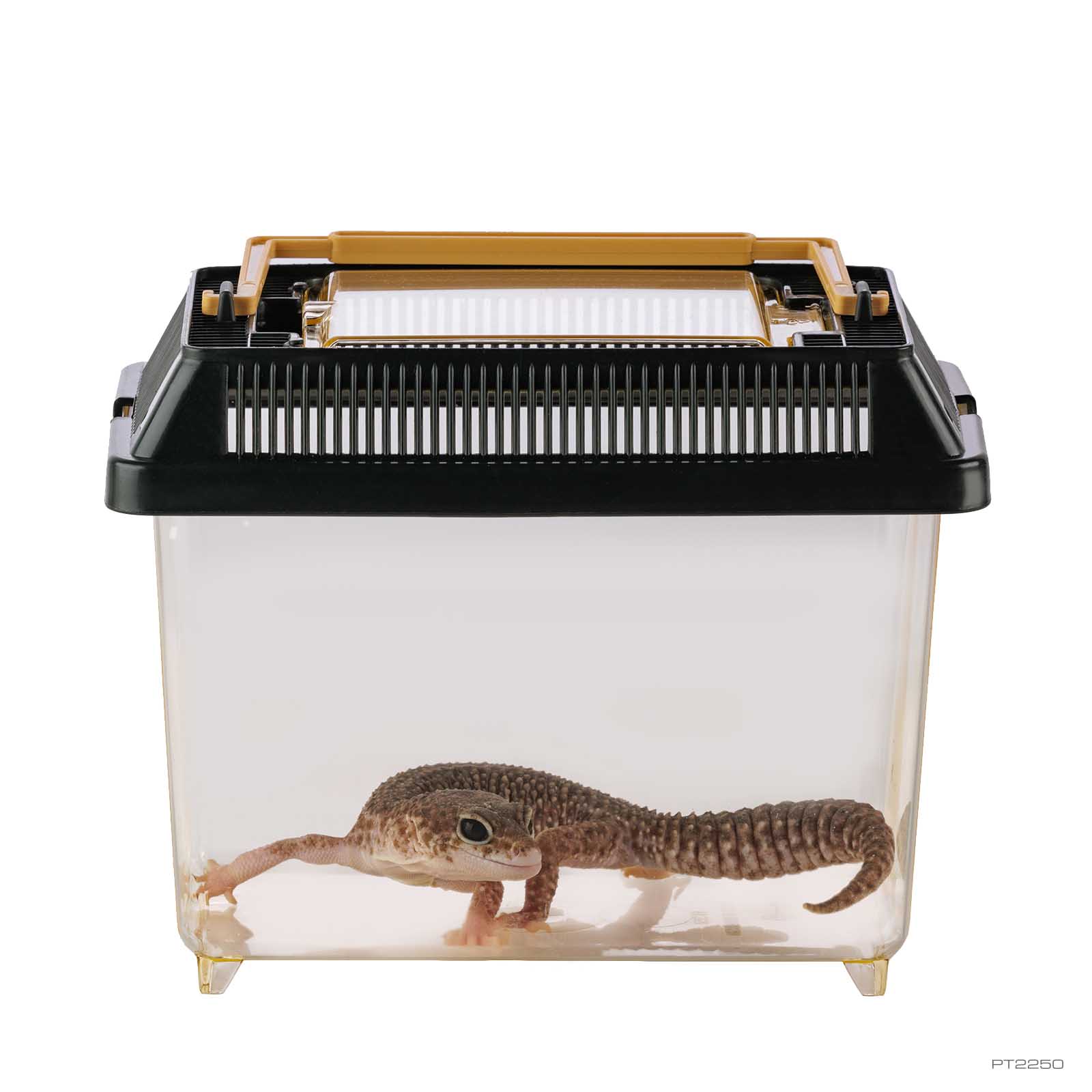 exo-terra-faunarium-x-small-stapelbares-kunststoff-terrarium image 4