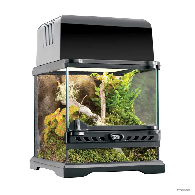 exo-terra-natural-terrarium-nano-wide-glas-terrarium-mit-frontt-ren image 1