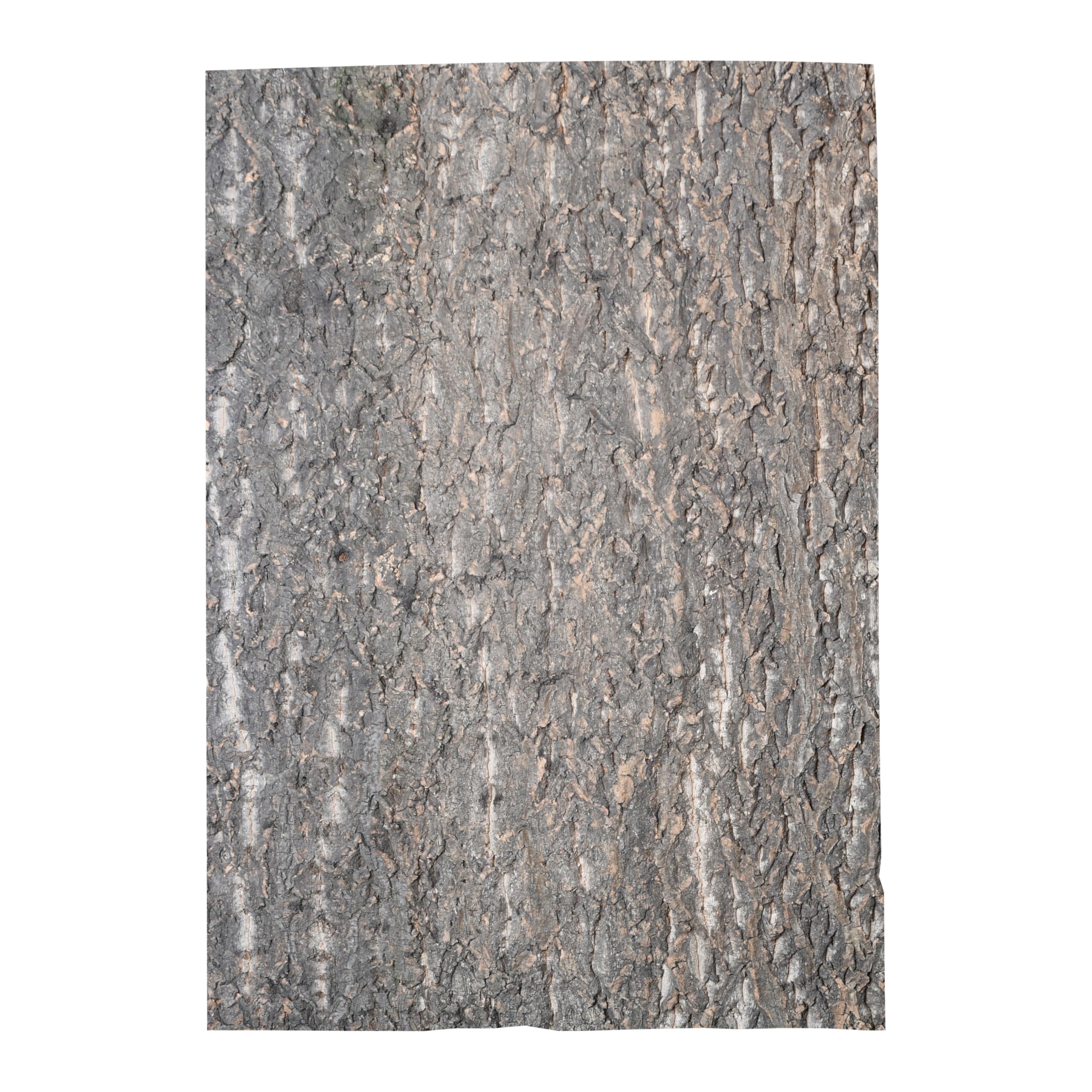lucky-reptile-korkr-ckwand-desert-60-x-30-cm-r-ckwand-aus-presskork image 3