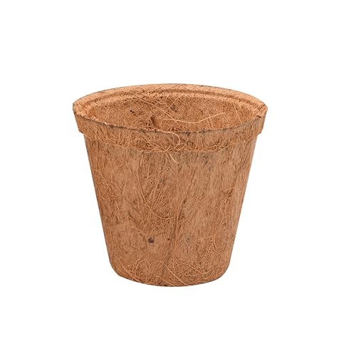 lucky-reptile-coco-planter-klein-pflanztopf-aus-kokosfasern image 4