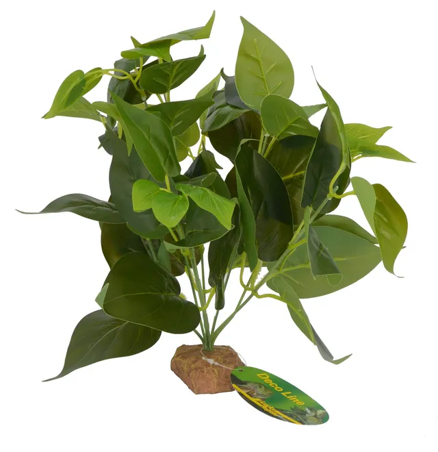 lucky-reptile-golden-pothos-64633-terrarienpflanze-30-cm-auf-steinsockel image 1