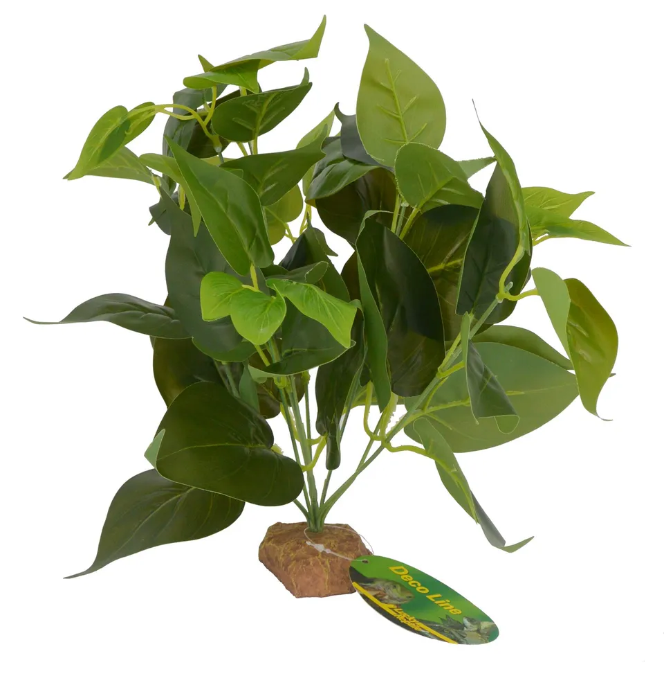 lucky-reptile-golden-pothos-64633-terrarienpflanze-30-cm-auf-steinsockel image 1