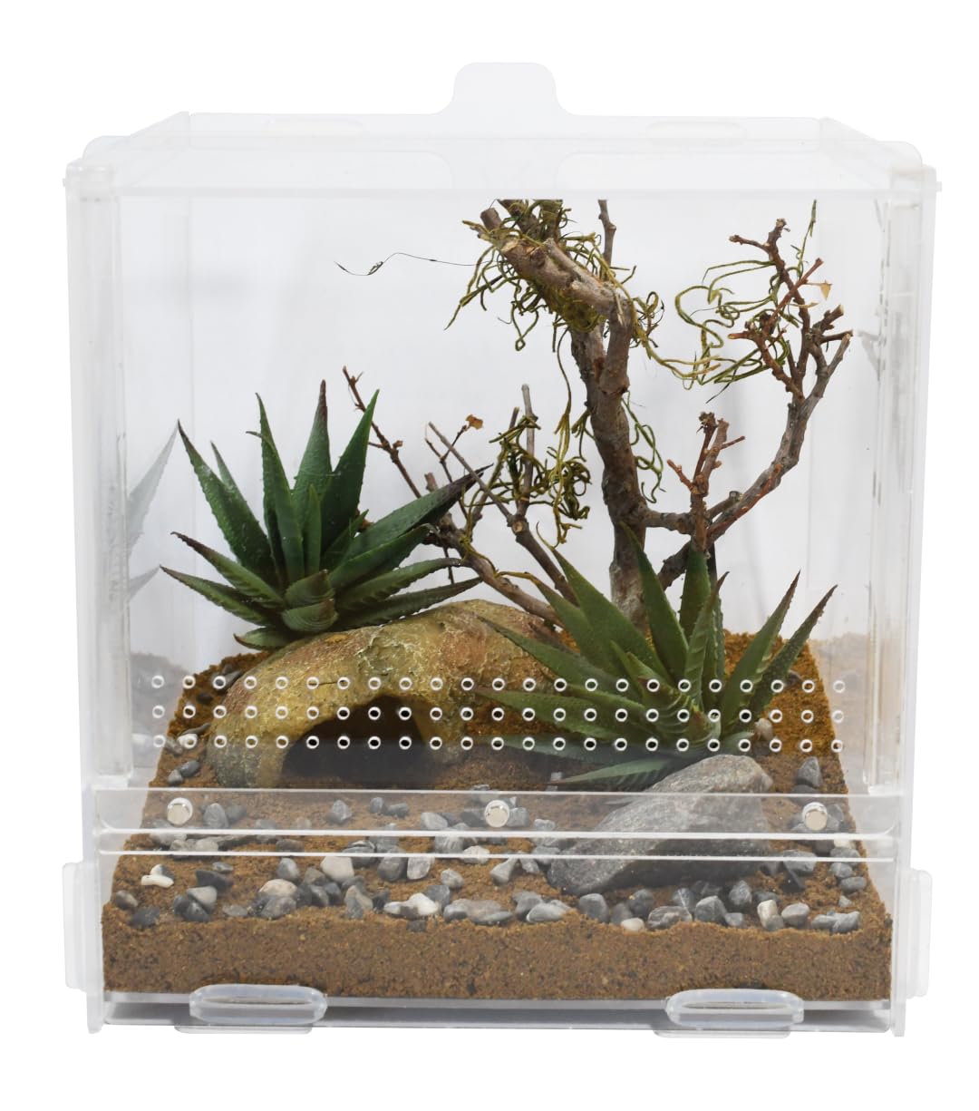 lucky-reptile-lifetarrium-terrarium-30-x-30-x-45-cm image 6