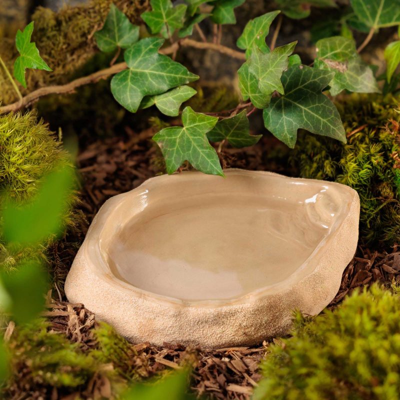 exo-terra-terrarium-dish-large-wasserschale-f-r-schildkr-ten-terrarium image 6