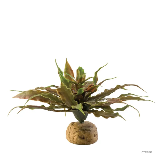 exo-terra-star-cactus-kunst-kaktus-terrarienpflanze image 1