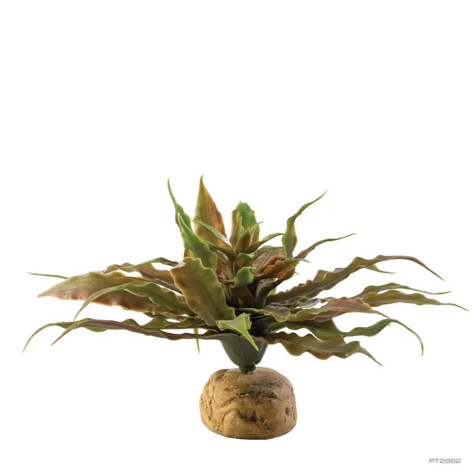 exo-terra-star-cactus-kunst-kaktus-terrarienpflanze image 1