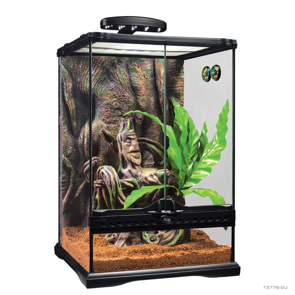 exo-terra-crested-gecko-habitat-kit-small-glasterrarium-komplett-set image 1
