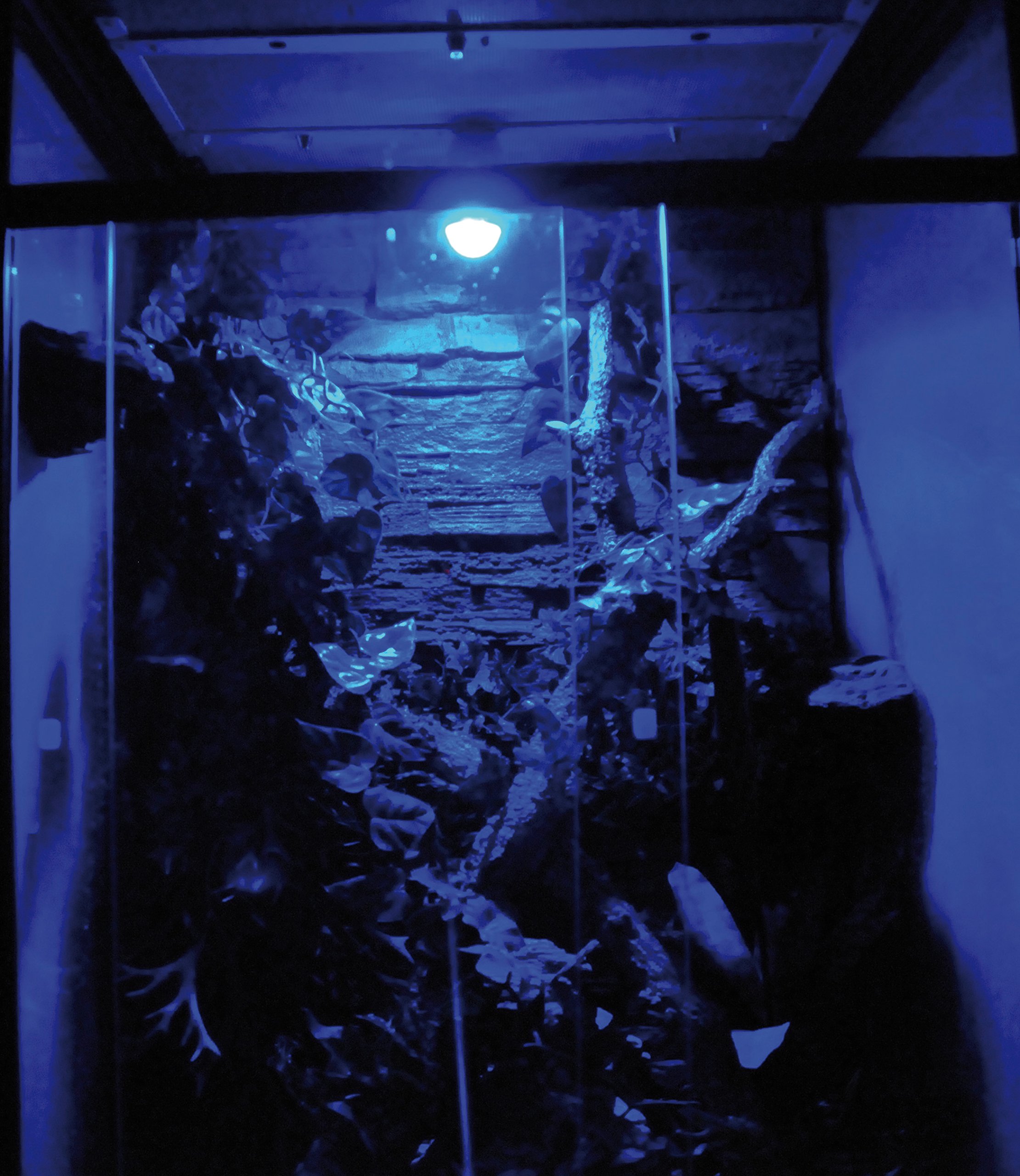 lucky-reptile-moon-lamp-led-mondlichtlampe-e27 image 5