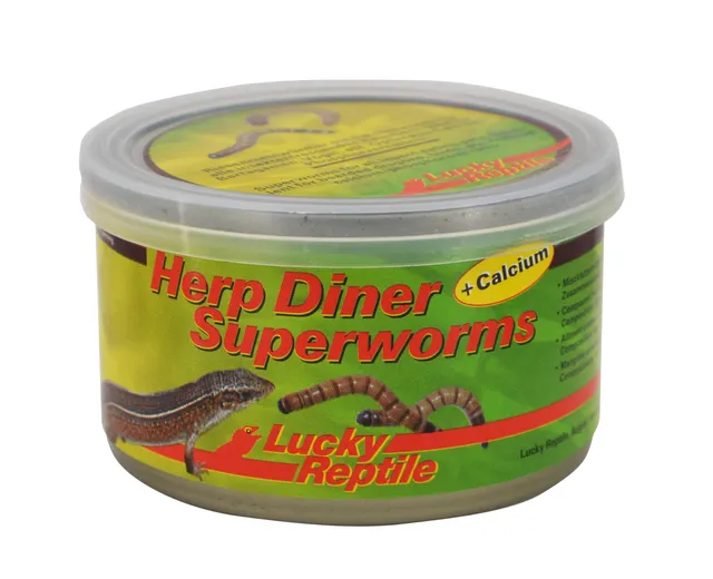 lucky-reptile-herp-diner-superworms-futterdose image 1