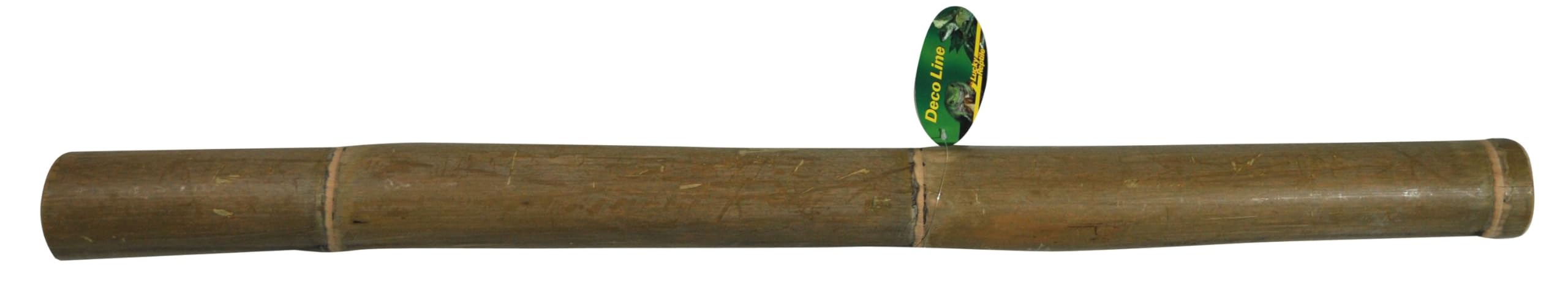 lucky-reptile-bambusstange-terrariendeko-1-m-durchmesser-bis-5-cm image 1