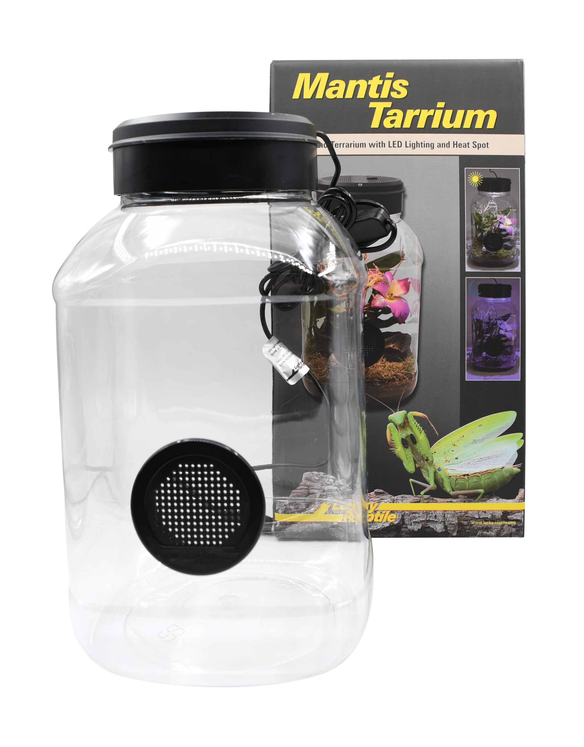 lucky-reptile-mantistarrium-kleinterrarium-18x18x35-cm-f-r-gottesanbeterinnen image 5