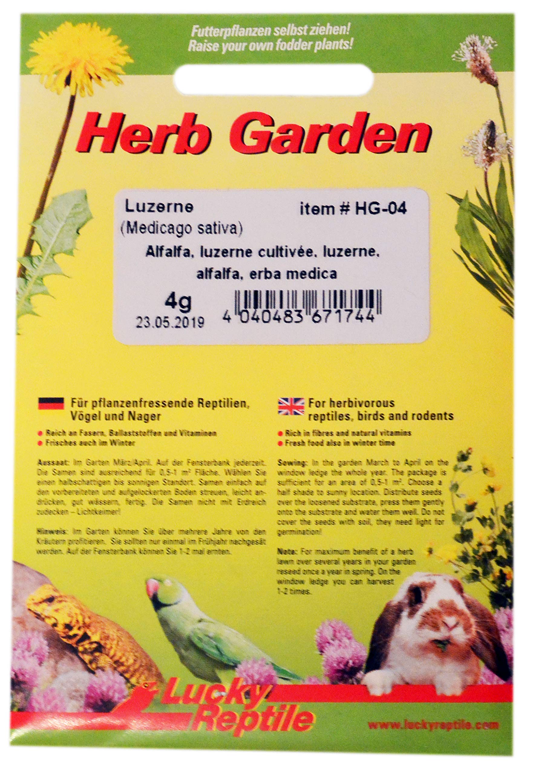 lucky-reptile-hg-05-herb-garden-ringelblume-3-g-samen-f-r-reptilien-und-nager image 6