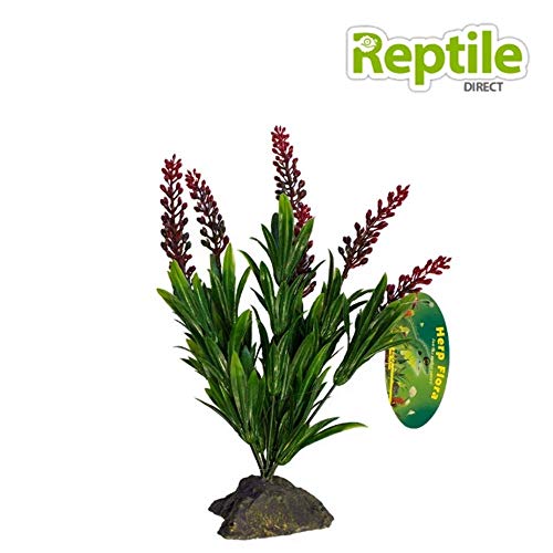 lucky-reptile-tiger-aloe-kunstpflanze-auf-steinsockel-ca-8-cm image 6