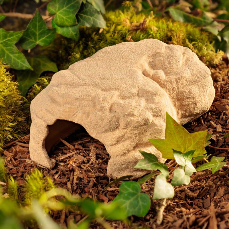 exo-terra-terrarium-den-medium-h-hlen-versteck image 7