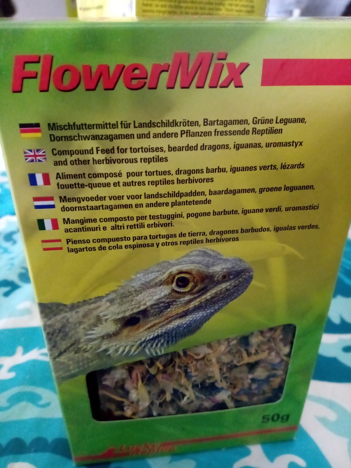 Meine Schildkröte ist verrückt danach